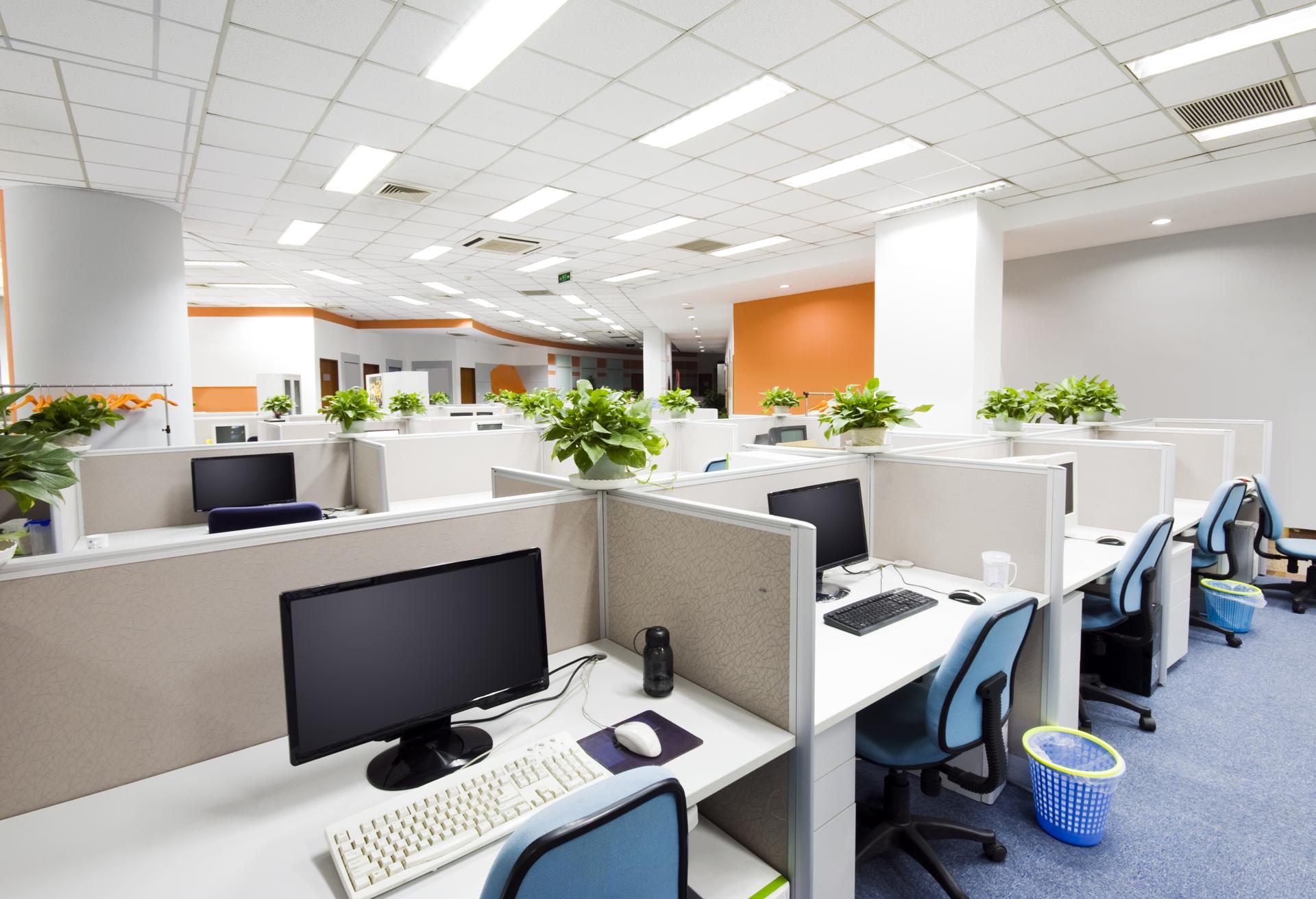 Cost-Effective Commercial Cleaning in Northern Beaches